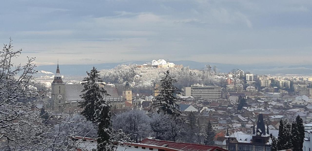 Brasov Valleyアパートメント エクステリア 写真