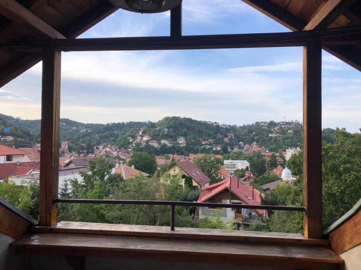 Brasov Valleyアパートメント エクステリア 写真
