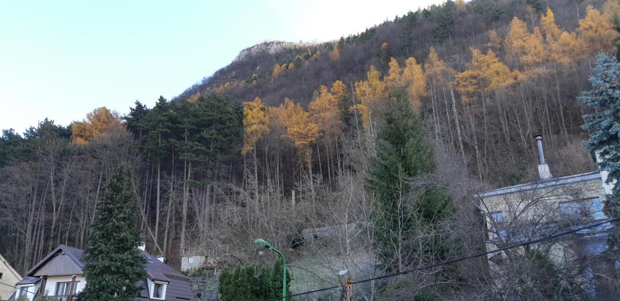 Brasov Valleyアパートメント エクステリア 写真