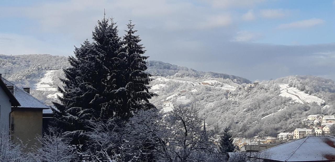 Brasov Valleyアパートメント エクステリア 写真