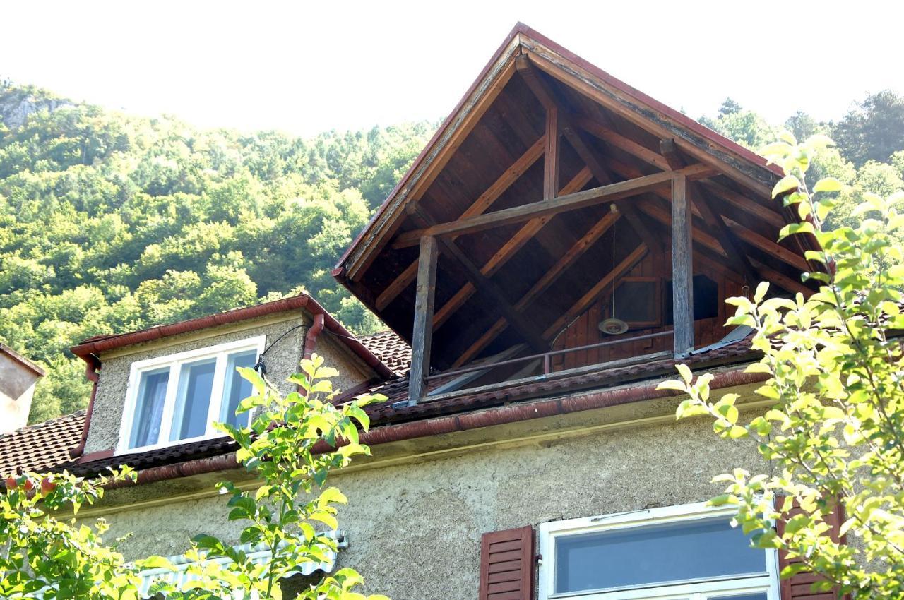 Brasov Valleyアパートメント エクステリア 写真