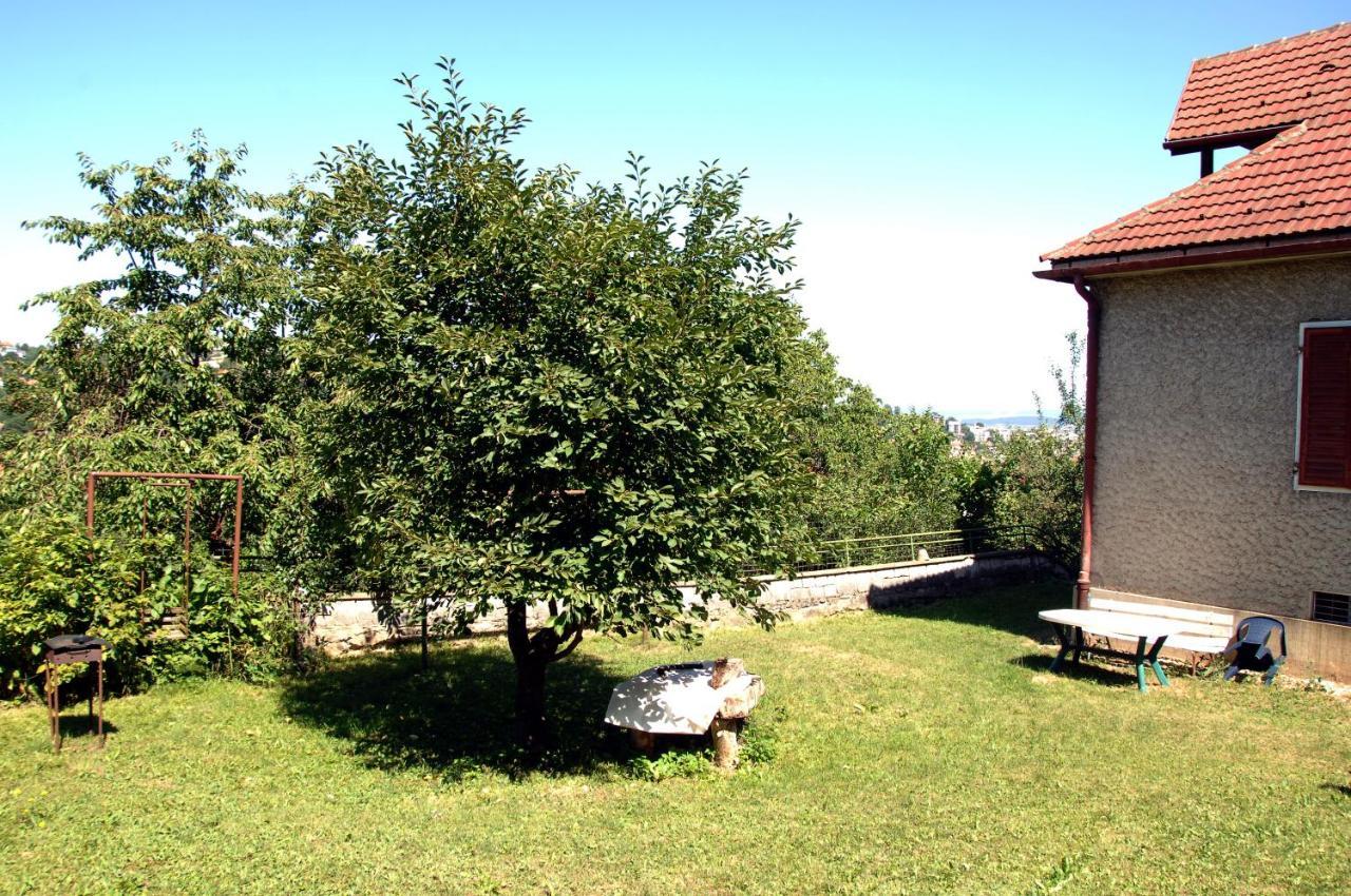 Brasov Valleyアパートメント エクステリア 写真